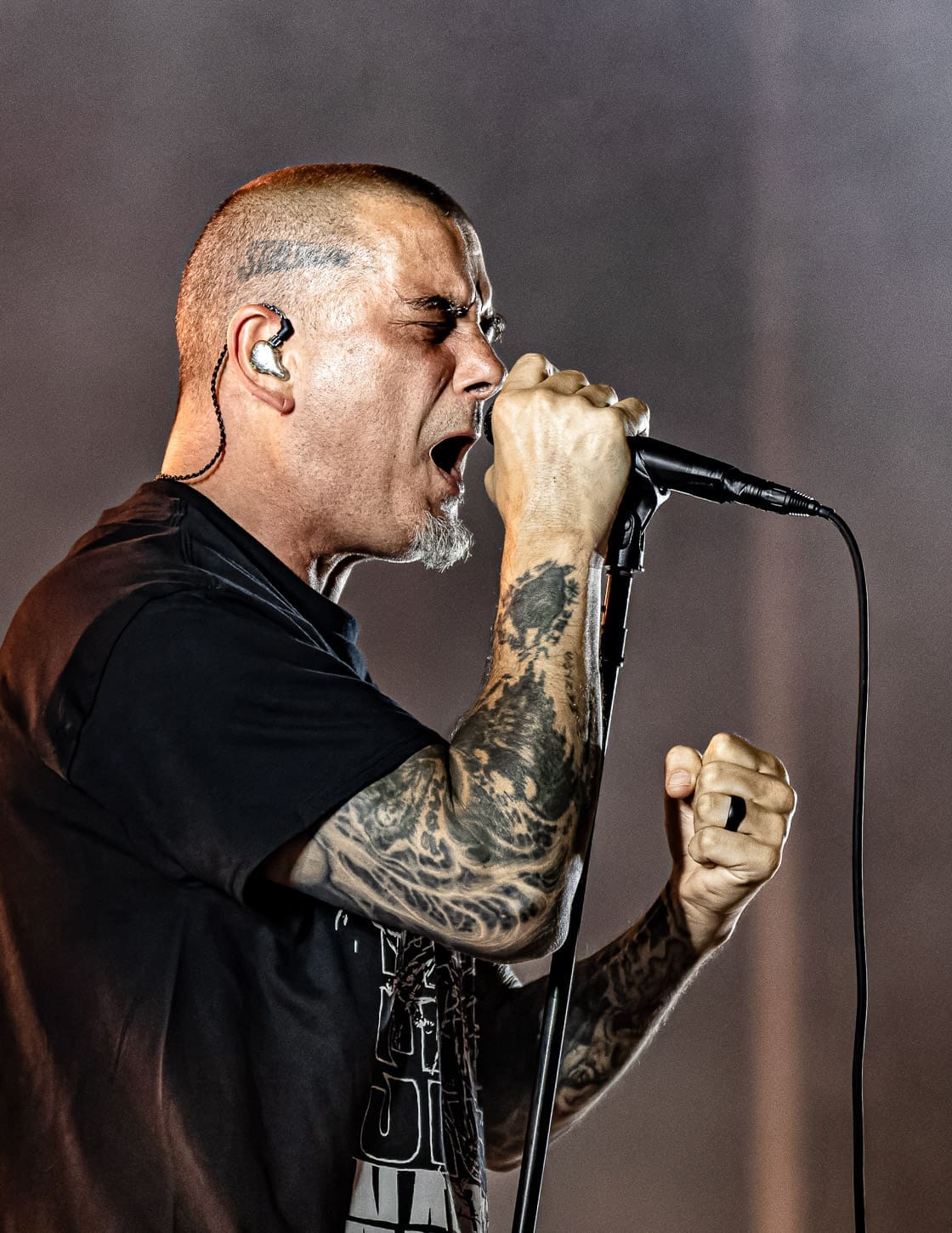 Pantera performs at Hershey Park Stadium.