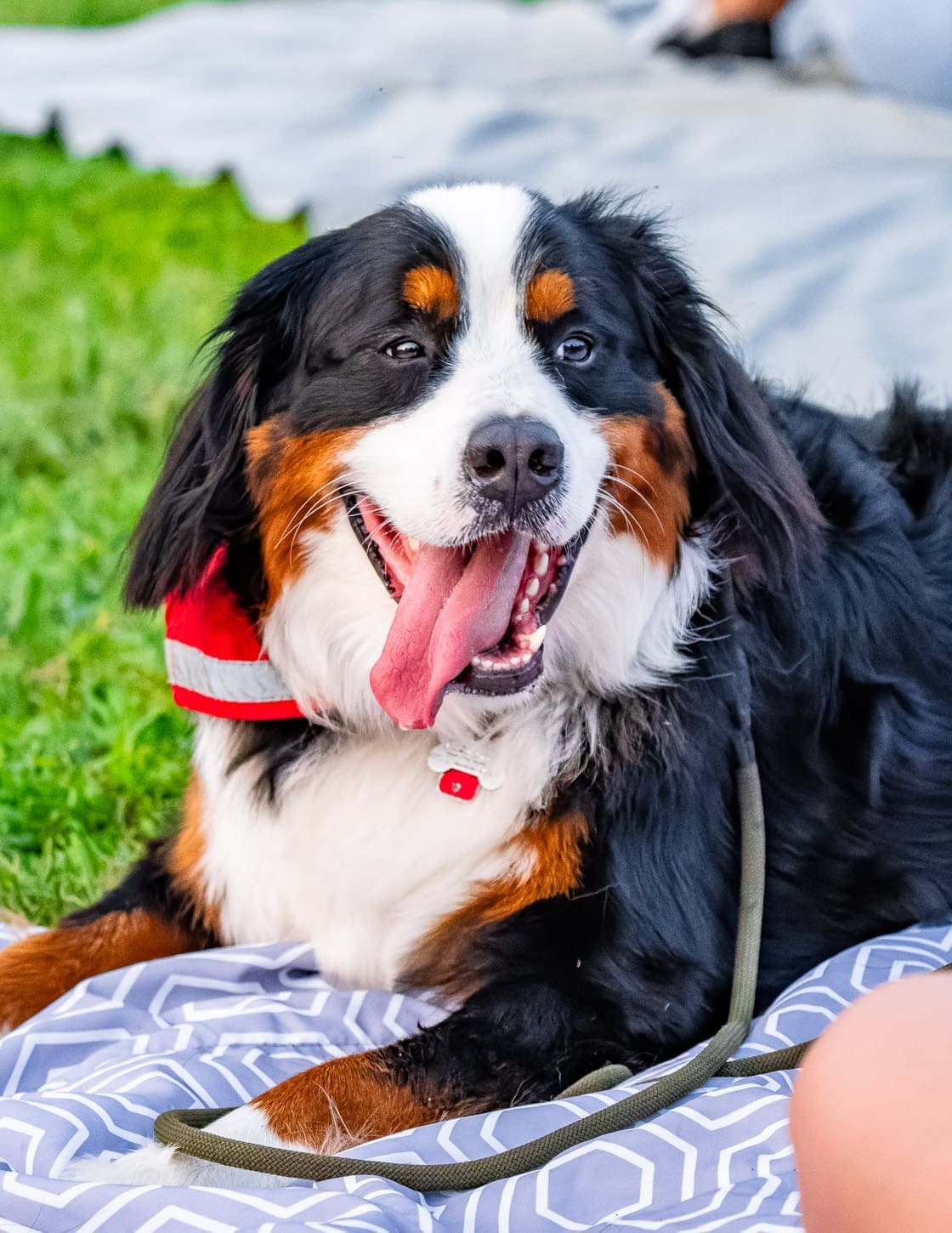 Fans of The Offspring, Jimmy Eat World &amp; New Found Glory party while the tour stopped in Camden, NJ