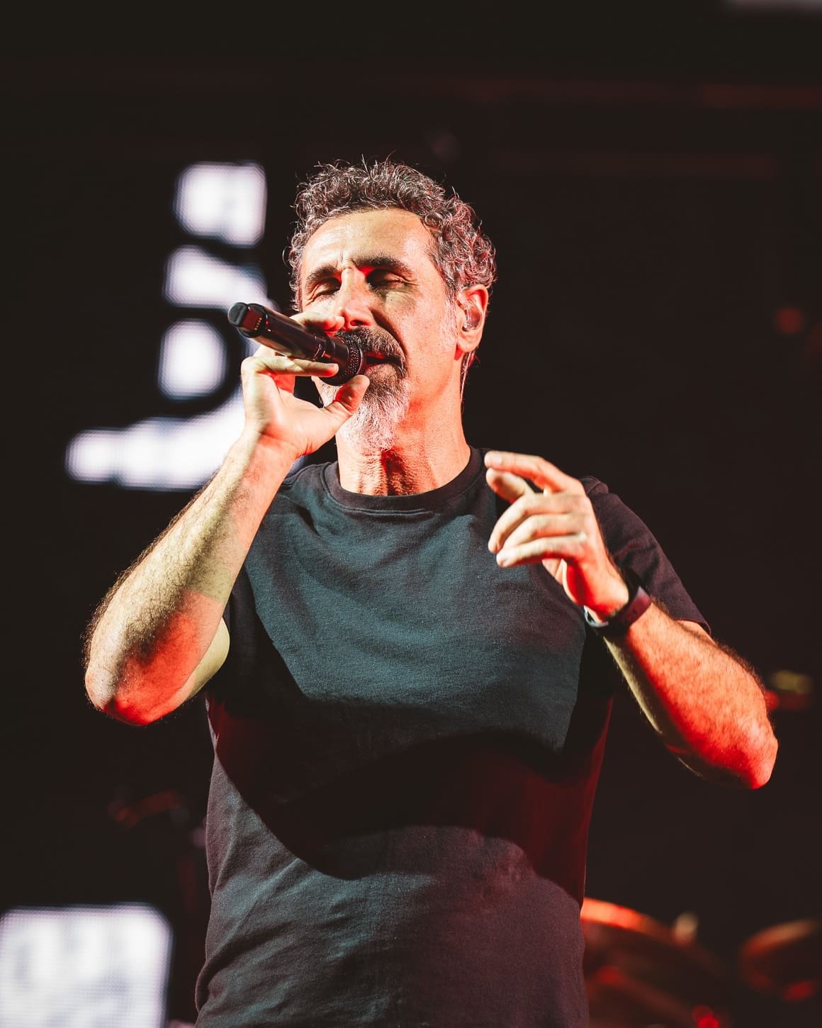 System of a Down performs at Metlife Stadium.