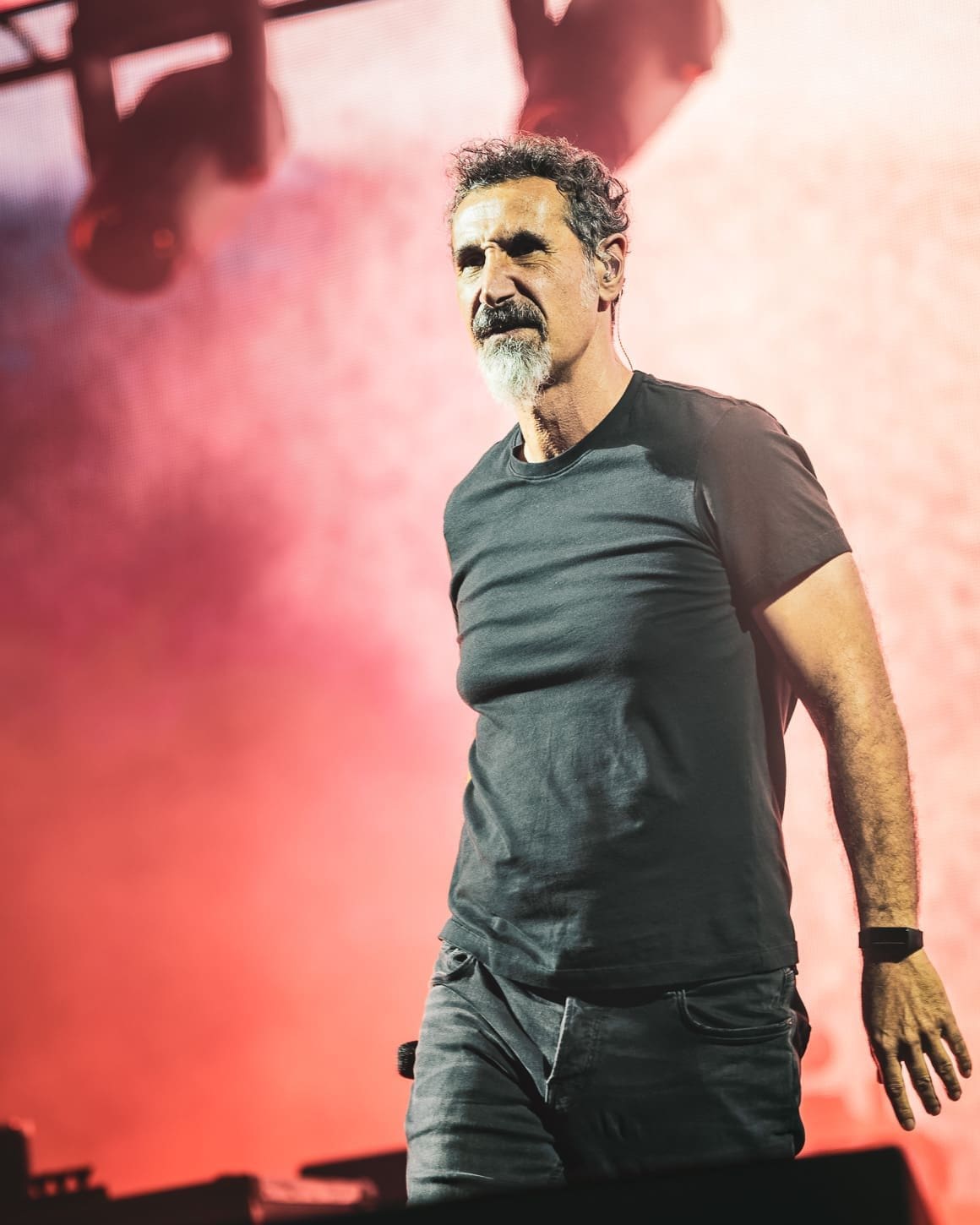 System of a Down performs at Metlife Stadium.