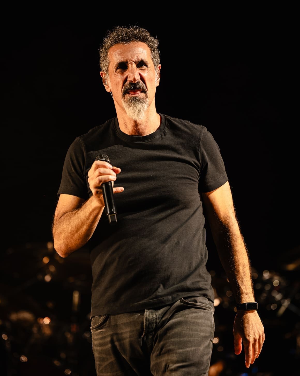 System of a Down performs at Metlife Stadium.