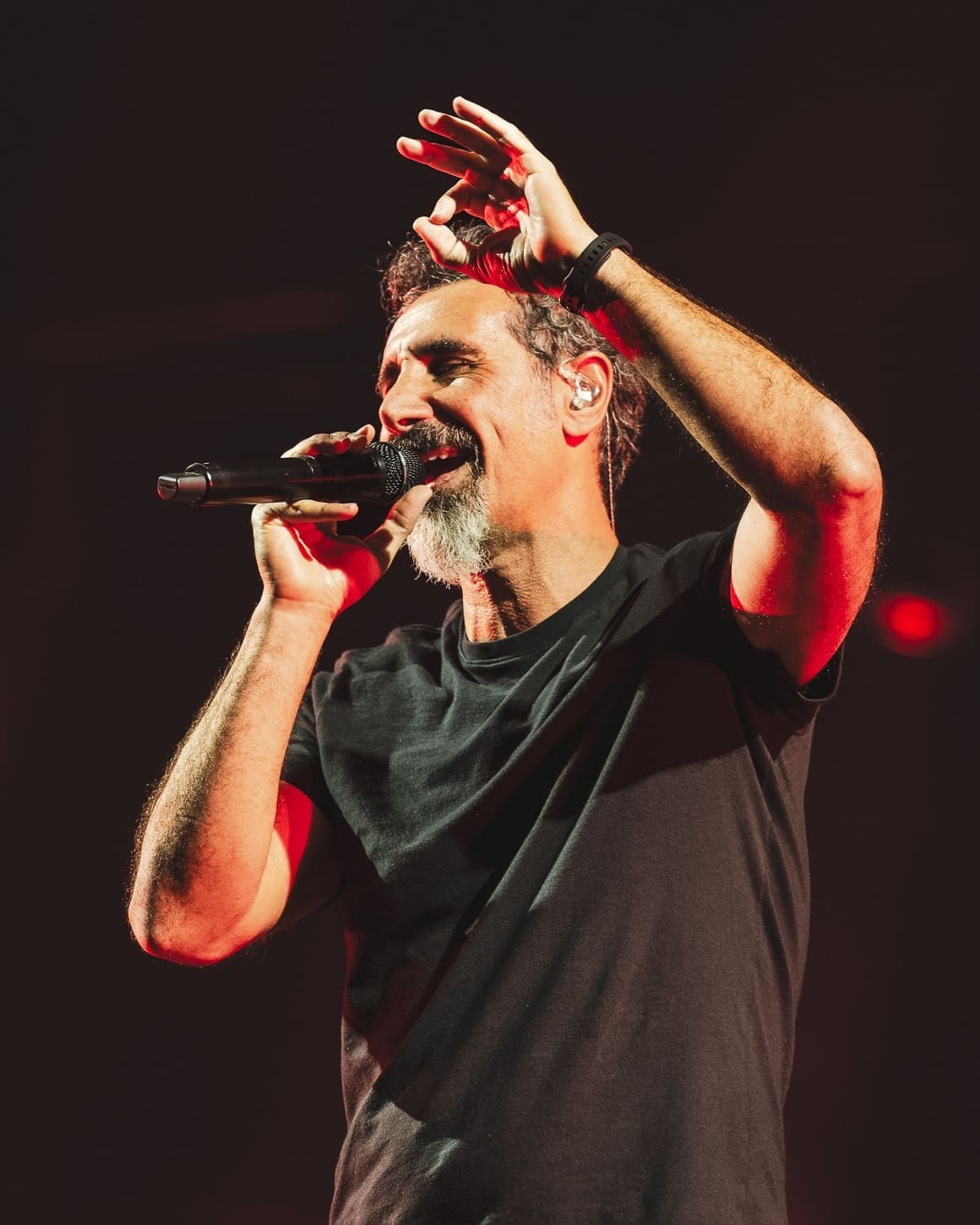 System of a Down performs at Metlife Stadium.