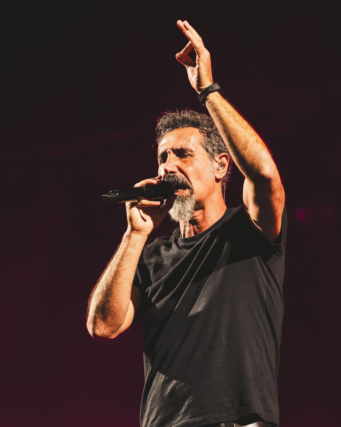 System of a Down performs at Metlife Stadium.