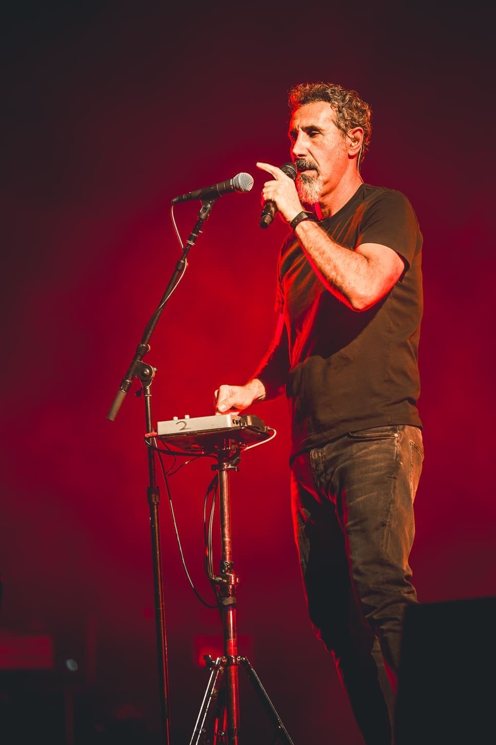 System of a Down performs at Metlife Stadium.
